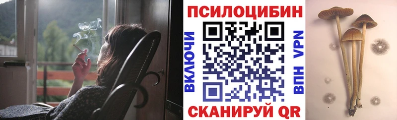 Псилоцибиновые грибы прущие грибы  Нарьян-Мар 